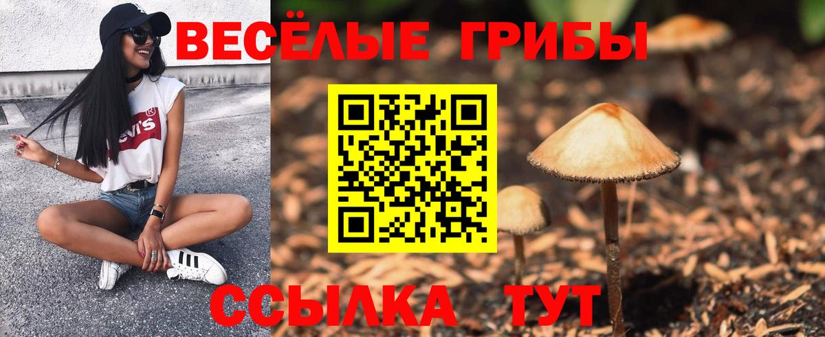 Усолье-Сибирское  Псилоцибиновые грибы прущие грибы  Вход с VPN  Галлюциногенные грибы Cubensis 