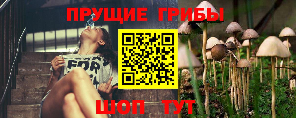 Псилоцибиновые грибы ЛСД Усолье-Сибирское